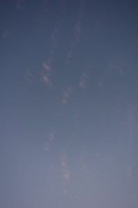 DSC00840