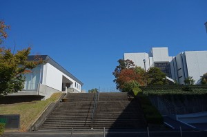 DSC01047