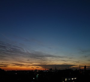 DSC01060