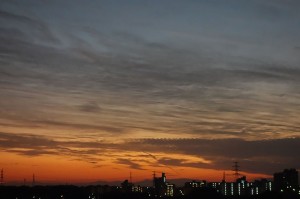 DSC01079
