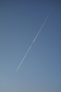 DSC01178