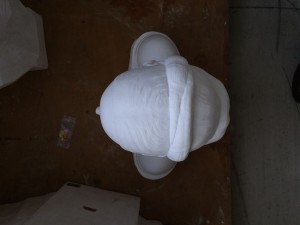 IMG_7805