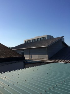 IMG_7817