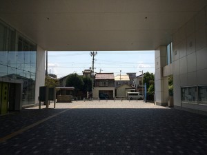IMG_7887