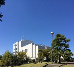 IMG_7966