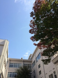 IMG_8005