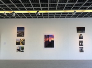 IMG_8153