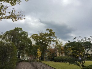 IMG_8161