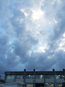 IMG_8166