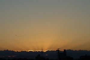 DSC01293