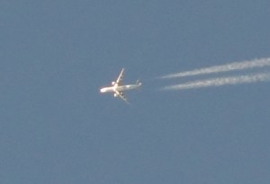 DSC01299b