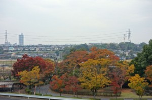 DSC01359