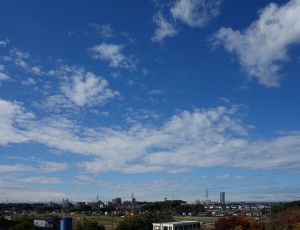 DSC01371