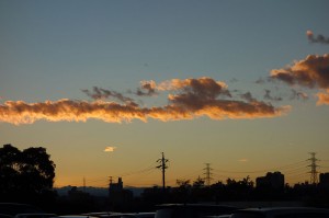 DSC01420