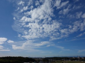 DSC01436