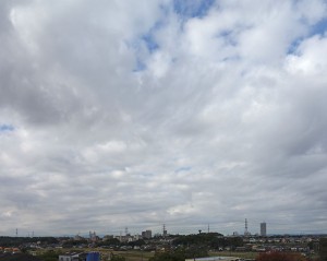 DSC01513