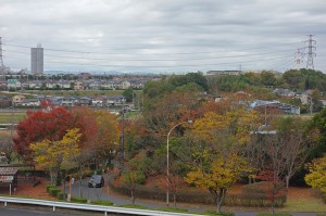 DSC01514