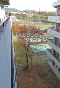 DSC01515