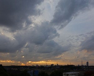 DSC01519
