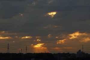 DSC01524