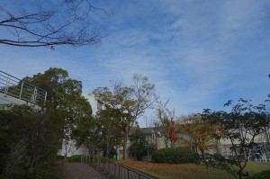 DSC01564