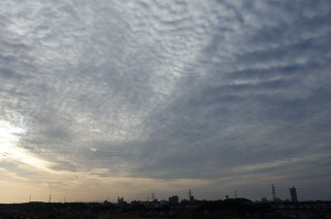 DSC01568