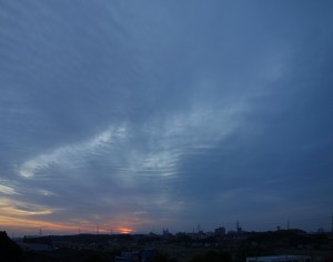 DSC01573