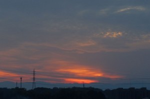 DSC01581