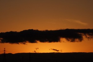DSC01686