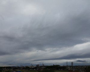 DSC01706
