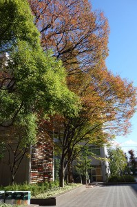 DSC01716