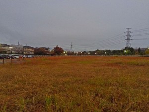 IMG_8228