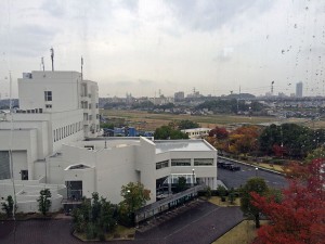 IMG_8238b