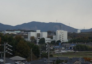 DSC01951