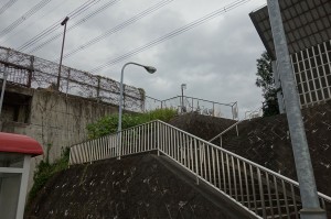 DSC01953