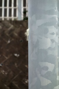 DSC01956