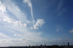 DSC01980