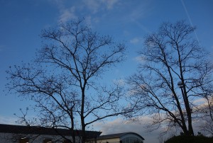 DSC01982