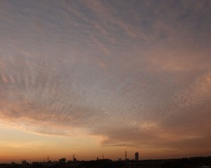 DSC02039