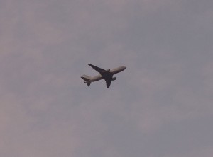 DSC02045
