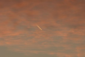 DSC02059