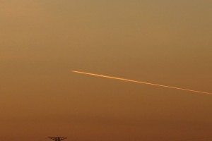 DSC02065