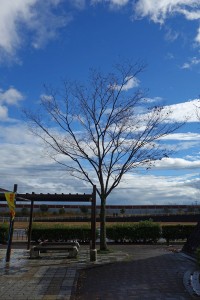 DSC02144