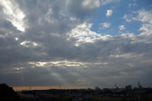 DSC02219