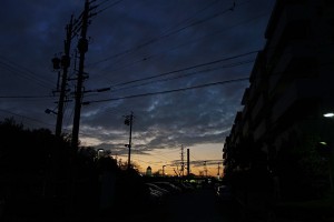 DSC02231
