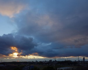 DSC02430