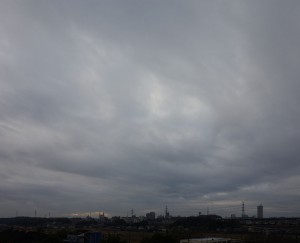DSC02474