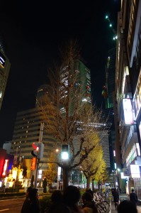DSC02507