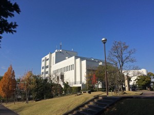 IMG_8378