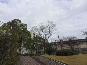 IMG_8416